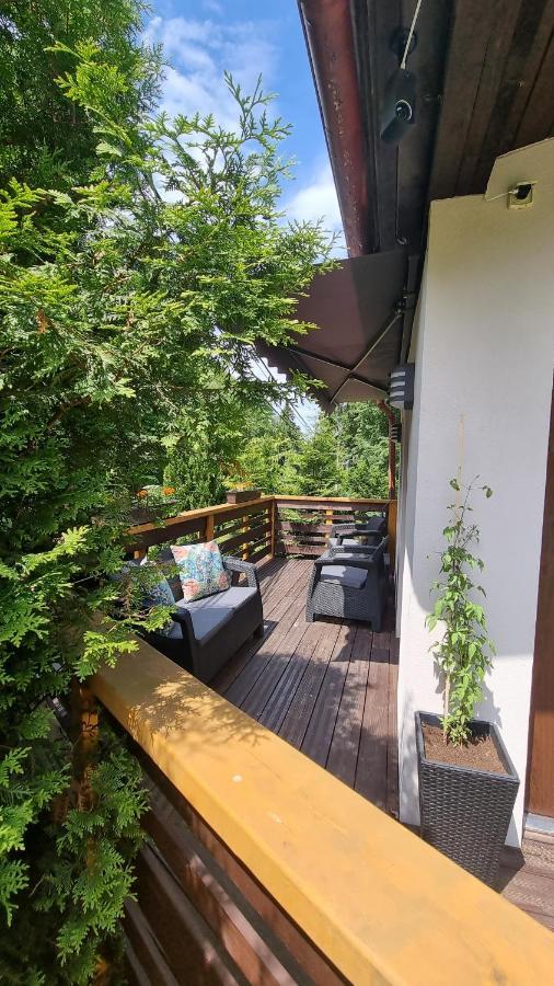 Chata Modesta Decin Exteriér fotografie